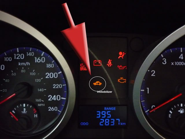 protivougonnoe ustrojstvo immobilajzer